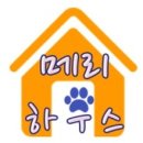 트윈하우스민박 이미지
