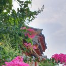 또하르네 이미지