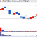 대원시큐어 이미지