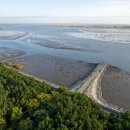 바다엔소나무 이미지