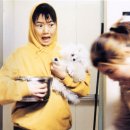 플란다스의 개 이미지