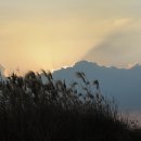 하늘공원 이미지