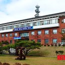 양구군정신건강증진센터 이미지