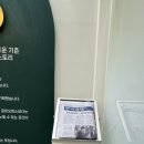 드림케쳐스