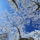 제113차 오대산 산행 공지 이미지