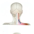 역삼-1744 이미지