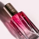 모스헤어 이미지