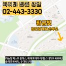 황금빛공인중개사사무소 이미지