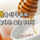 꿀을 탄 우유의 놀라운 효능 7가지 이미지