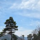 광석로 | 강원도 골프장 | 리뉴얼 된 세이지우드홍천cc 봄 라운드 후기