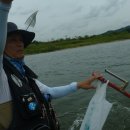 여울쏘가리 이미지