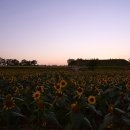 연천 호로고루 이미지