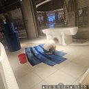 향수크리닝 이미지