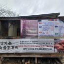 양지촌식당 이미지