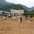 인기농장 이미지