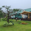 이부바바 이미지