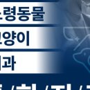 수지안가