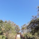 인천 삼형제섬길