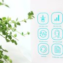 (주)케어위드 이미지