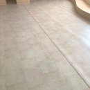 배곧초등학교 이미지