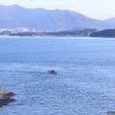 파도가머무는정원 이미지