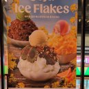 배스킨라빈스/던킨도너츠SPC스퀘어강남