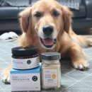 아인덴탈 이미지