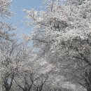 노동3리 이미지