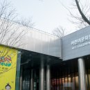 플라스틱 신화들 이미지