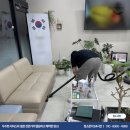 미라크리닝 이미지