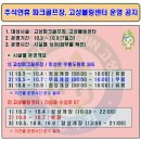 위너동물병원 | 추석연휴 고속도로 무료, 고성 어린이 서핑과 아이랑 가볼만한곳 관광지 연휴 안내