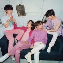 호피폴라 카카오 검색결과