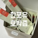 포유(FOR U)치과기공소 | 한포유 l 호박즙 효능 사랑니 붓기 빼는데 최고 호박바나나농축스틱 후기