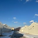 디투어스펜션 | 제천펜션 호수뷰가 멋진 디투어스캠프클럽 독채풀빌라후기