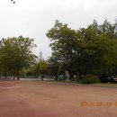 원주종합운동장 이미지