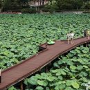 무안 톱 관광펜션 이미지