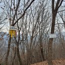 하천리 | 오지산행 마미산(대덕산~마미산~면위산)