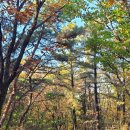 예술의전당 뒤(신정 약수터) 이미지