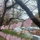 산꽃벚꽃오토캠핑장 이미지