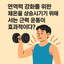 근력운동 이미지