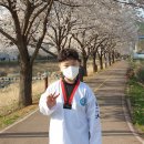 용문체육관(태권도) 이미지