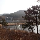 웅천 오충사 이미지