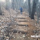 딸기원