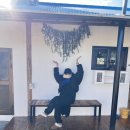 스테이돌담 이미지