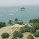 서천 마량리 동백나무 숲 이미지