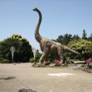 제주 공룡랜드 전시관 이미지