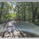 청옥산민박 이미지