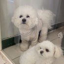 장원 세탁소 이미지