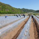 일월면사무소 이미지