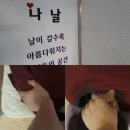 나날앤휴림 | 😀대전 근막마사지 체형관리 나날앤휴림이에요 고객관리 후기 사진들에요 건강하세요